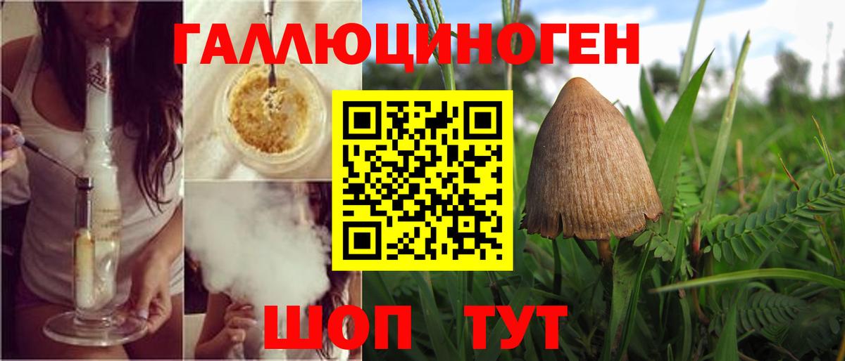 Псилоцибиновые грибы Psilocybine cubensis  Вход с VPN  Семилуки 
