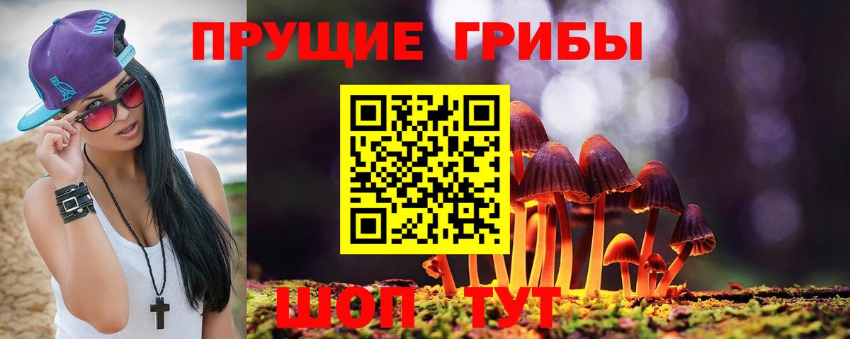 Галлюциногенные грибы Magic Shrooms Семилуки